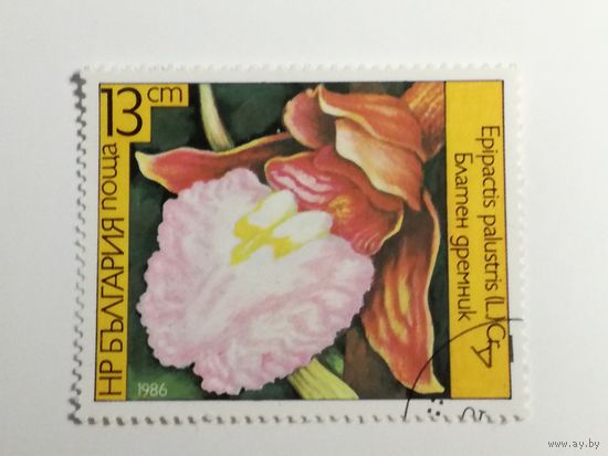 Болгария 1986. Орхидеи.
