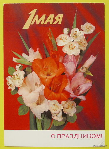 1 Мая! Подписанная. 1985 года. Дергилев.
