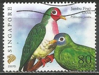 Сингапур. Птицы. Розовоголовый пёстрый голуб. 2007г. St#1631.