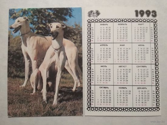 Карманный календарик. Собака. 1993 год