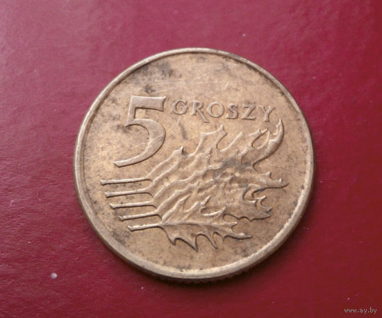 5 грошей 2010 Польша #01