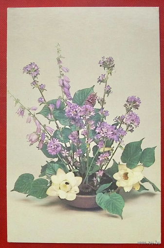 Композиция из цветов. Подписанная. 1983 года. Фото Шарова. 454.