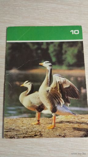 Открытка СССР