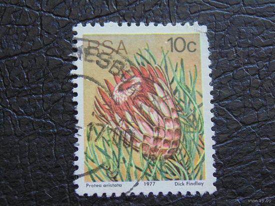 ЮАР 1977 г. Флора.