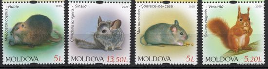 Молдова 2025. Фауна. Грызуны. Мышь, нутрия, шиншилла, белка 4 марки (944)