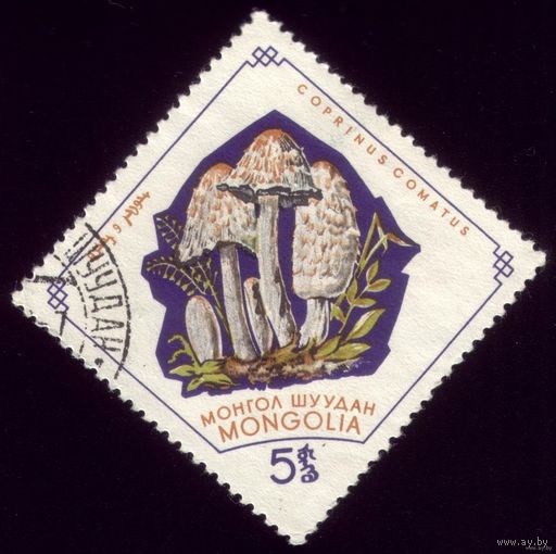 1 марка 1964 год Монголия Поганки 345