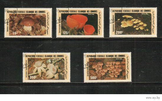 Коморы-1985,(Мих.762-766)  гаш., Флора, Грибы(полная серия)