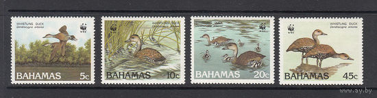 Фауна. Водоплавающие. Багамы. 1988. 4 марки. Michel N 672-675 (25,0 е)