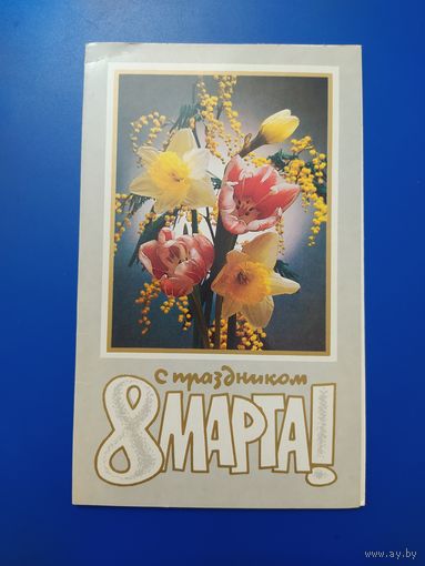 Фото Э. Стейнерта