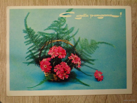 ПОДПИСАННАЯ ОТКРЫТКА СССР. "С ДНЕМ РОЖДЕНИЯ!" ФОТО. Б. БАБАЙЛОВА. 1979 ГОД.