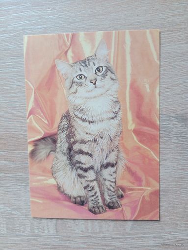 Календарик 1993