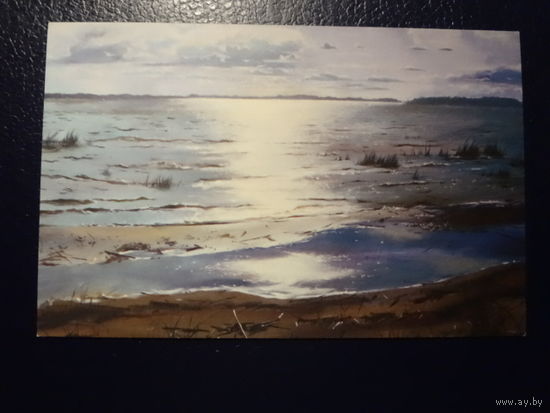 Календарик 2009 г.  Паритетбанк.