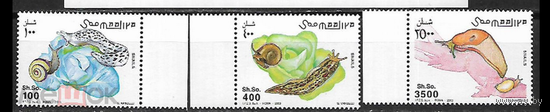 Фауна Улитки Моллюски Ракушки Сомали 2003   MNH