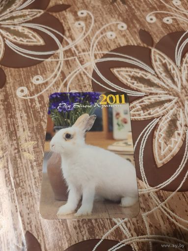 Календарик,кролик,2011