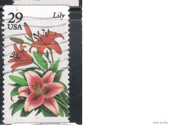 США-1994, (Мих.2450) , гаш., Флора, Цветы