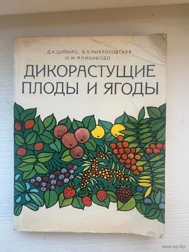 Дикорастущие плоды и ягоды