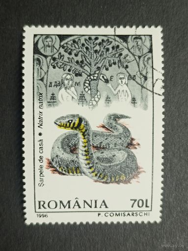 Румыния 1996. Румынская дикая природа. Уж