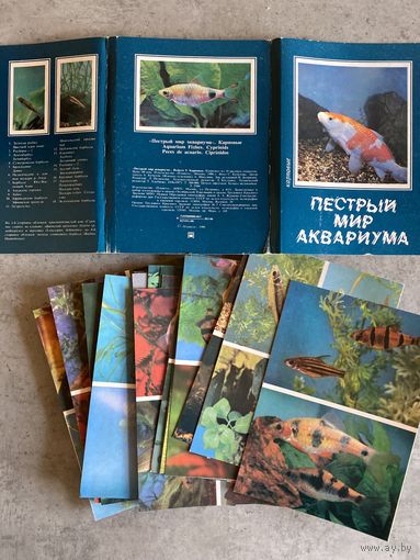 Набор открыток "Пестрый мир аквариума". Выпуск 5. Карповые. 18 открыток