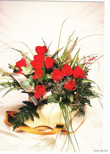 Беларусь.Немаркированная почтовая карточка