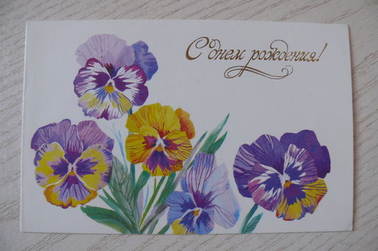 Канищева О., С днем рождения! 1989, двойная, подписана (анютины глазки).