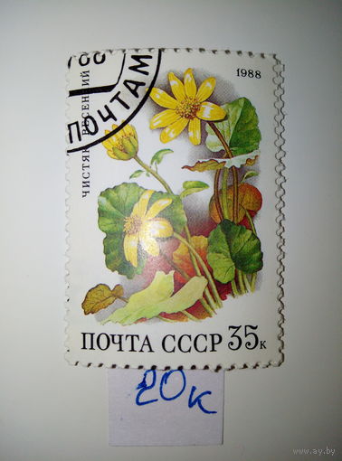 Марки СССР 1988 г. Чистяк весенний 35к.