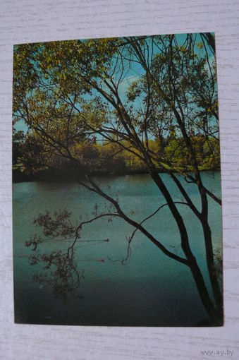Давыдов В., У реки; 1983, чистая.