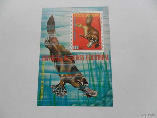 Экваториальная Гвинея. Фауна