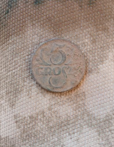 5 грош 1931г.