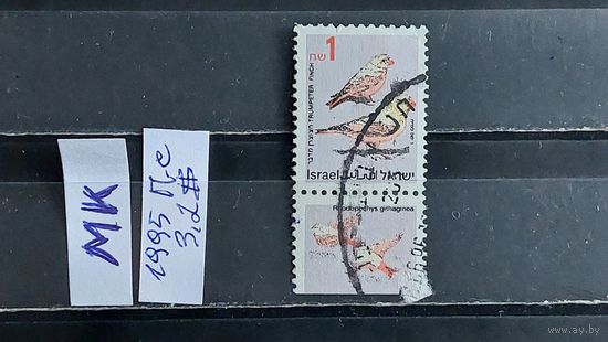 ИЗРАИЛЬ 1995г. Гаш.