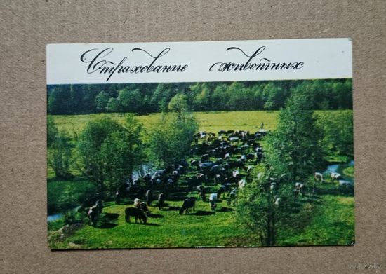 Календарик карманный 1984 Госстрах страхование животных