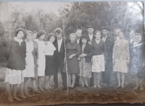 Фото в коллекцию