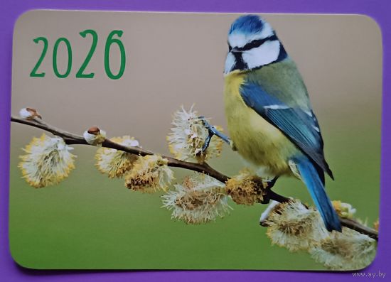 Синица. Календарик, глянец, 2026.ТРАСКО
