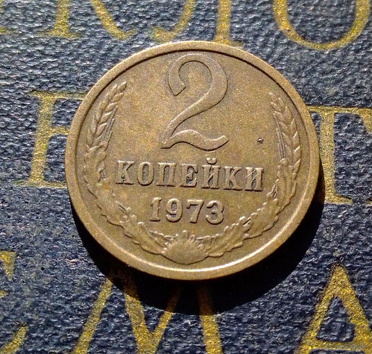 2 копейки 1973 СССР #19
