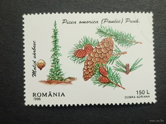 Румыния 1996. Деревья - Хвойные