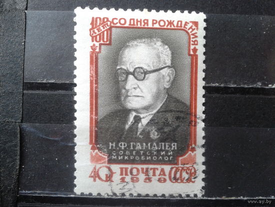 1959 Гамалея с клеем без наклейки