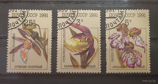 СССР. 1991 год. Флора. Цветы