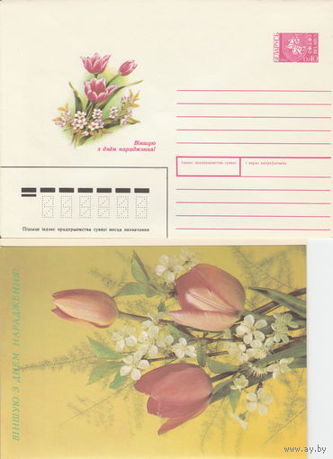 Беларусь 1991 Вiншую з днём нараджэння! Поздравляю с днем рождения! (к4)
