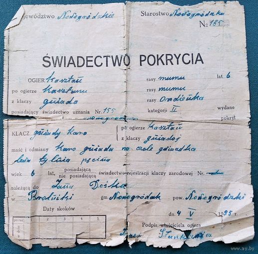 Свидетельство о вязке жеребца (?). Польша. Зап.Беларусь. Новогрудская гмина. 1935 г.