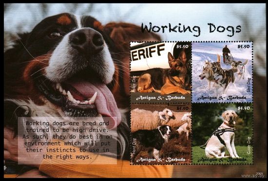 2020 Антигуа и Барбуда 5851-5854KL Собаки на службе человека 20,00 евро