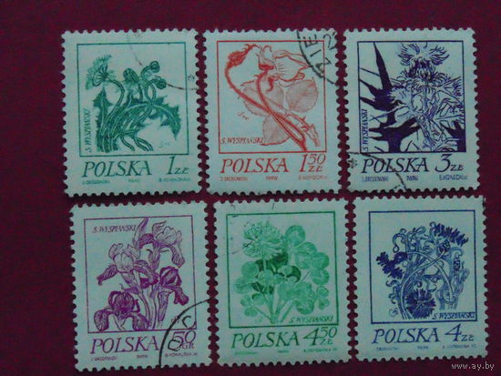 Польша. Флора.