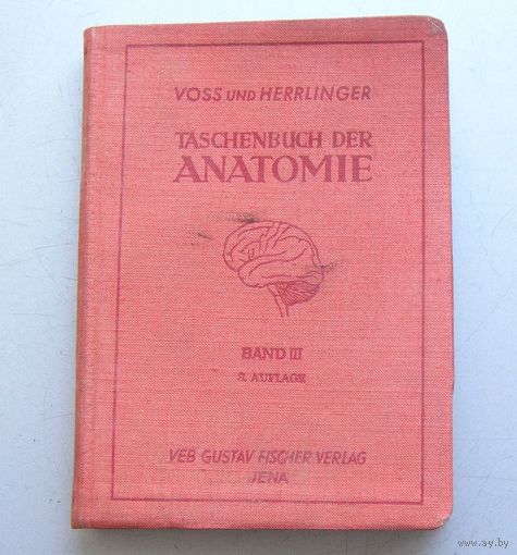Книга по анатомии Taschenbusch der ANATOMIE 1956 год