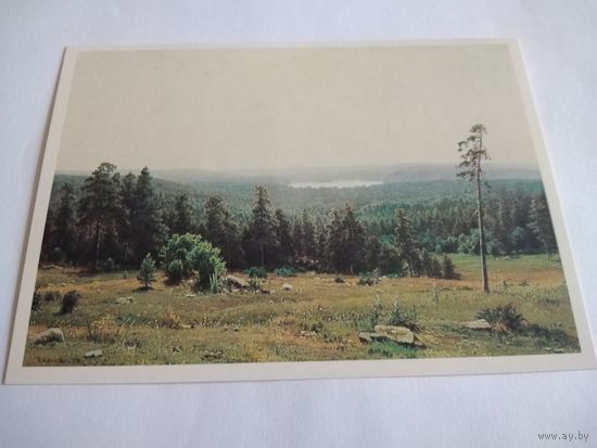 Открытка 1989г. И. Шишкин. Лесные дали.