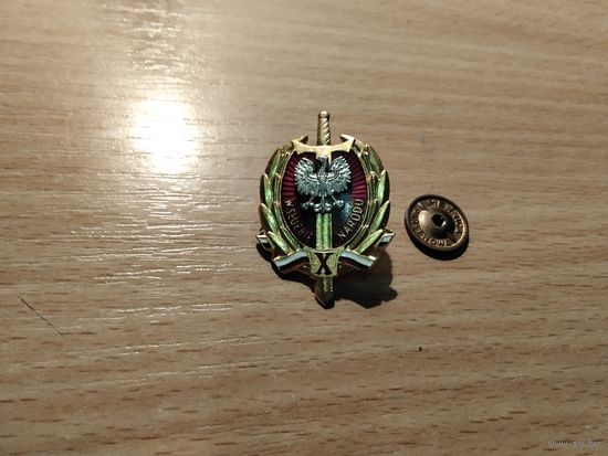 На службе народа 10 лет Польша