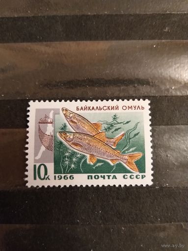1966 СССР фауна рыбы чистая клей MNH**  (2-1)