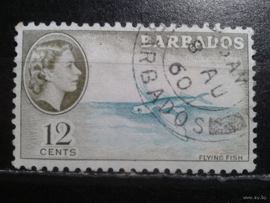 Барбадос, колония Англии, 1954. Летающая рыба