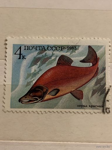 СССР 1983. Нерка красная