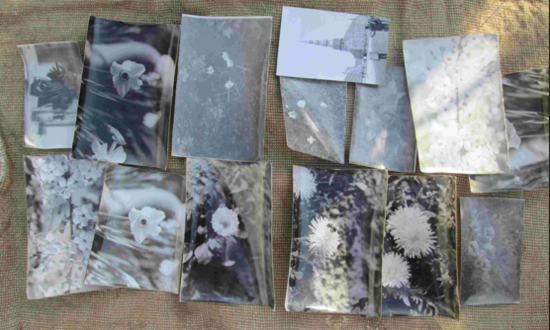 Открытки и фото артистов разные