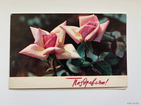 Поздравляю! 1970 год. Фото И. Дергелева. Подписана!