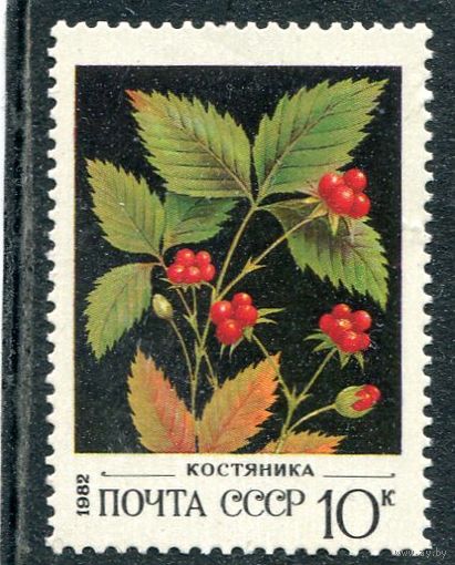 СССР 1982. Флора. Ягоды. Костяника