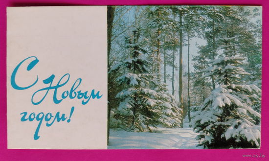 С новым годом! Чистая. Двойная. Фото Раскина. 2321.